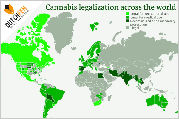 Global Reactions to Mexicos Legalization