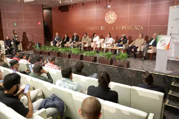 Mexico Tendrá el Mercado Más Grande de Cannabis